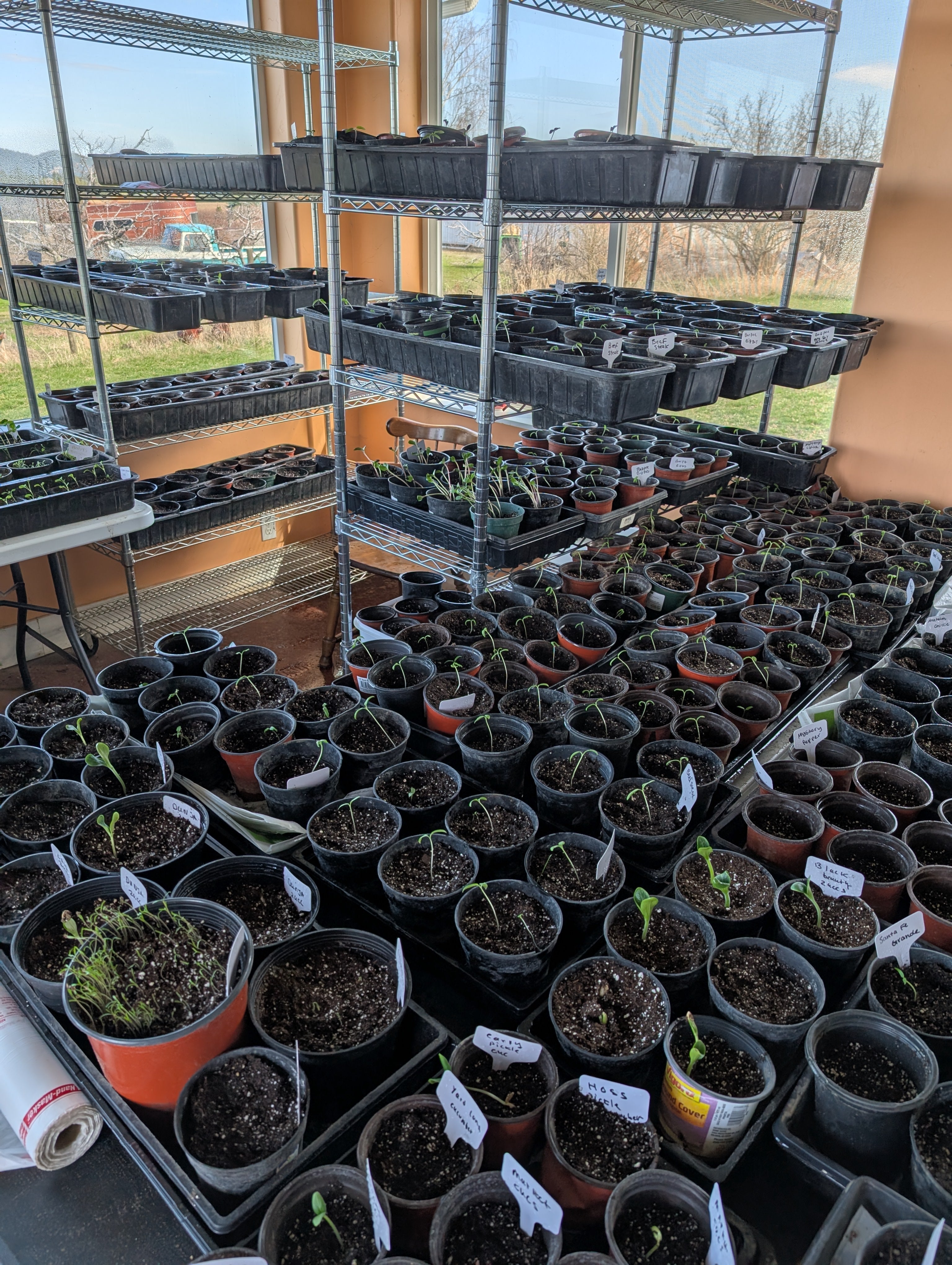 Planning your 2026 garden. Get started the right way.